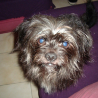 Photo #209578 de Titan