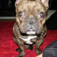 Photo #209589 de Titou