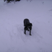 Photo #209709 de Maya