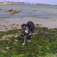 Photo #209711 de Maya
