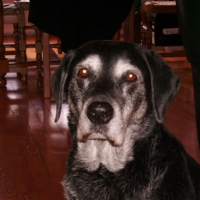 Photo #209712 de Maya