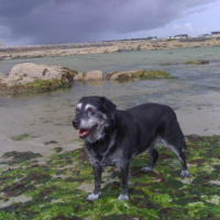 Photo #209713 de Maya