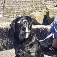 Photo #209714 de Maya