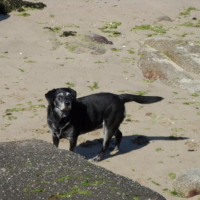 Photo #209715 de Maya