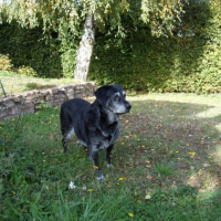 Photo #209716 de Maya