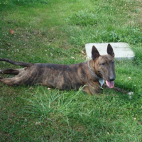 Photo #209760 de Tupac