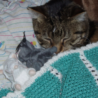 Photo #209763 de Fripouille