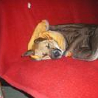 Photo #209942 de Doba