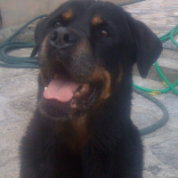 Photo #209943 de Oneil