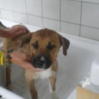 Photo #209944 de Doba