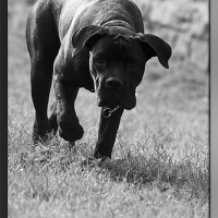 Photo #210117 de Eros
