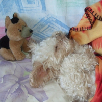 Photo #210132 de Sally