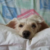 Photo #210156 de Sally