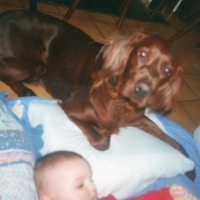 Photo #210163 de Snoopy
