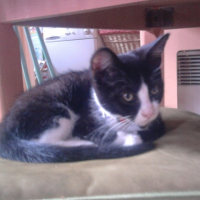 Photo0048