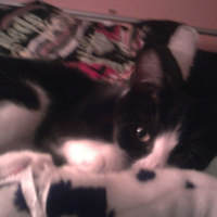 Photo0312