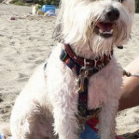 sa première fois à la plage