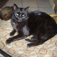 Photo #210284 de Isis