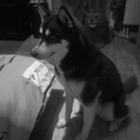 Photo #210289 de Maia