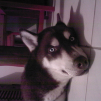Photo #210293 de Maia