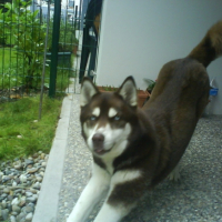 Photo #210323 de Maia