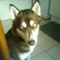 Photo #210324 de Maia