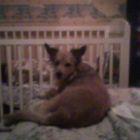 Photo #210343 de Boulette
