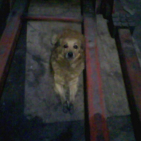 Photo #210344 de Boulette