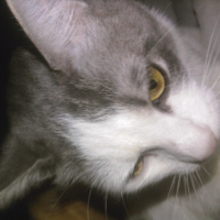 Photo #210381 de Luna