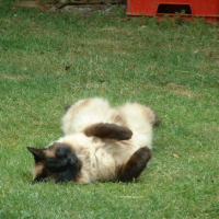 Photo #210499 de Bounty