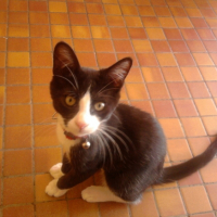 Photo0214