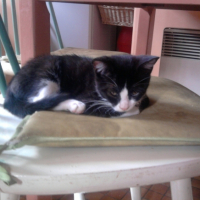 Photo0043