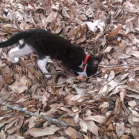 Photo0003
