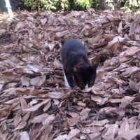 Photo0005