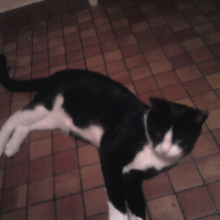 Photo0427