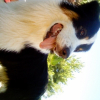 Photo0544