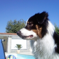 Photo #210669 de Danette