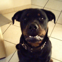 Photo #210673 de Vito