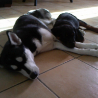 Photo #210757 de Maya