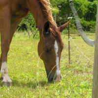 Photo #210761 de Lilou