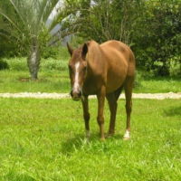 Photo #210763 de Lilou