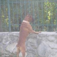 Photo #210778 de Ubrio