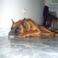 Photo #210785 de Ubrio
