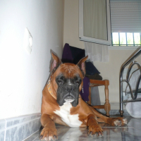 Photo #210788 de Ubrio