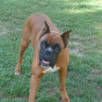 Photo #210793 de Ubrio