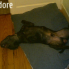 Photo361-001