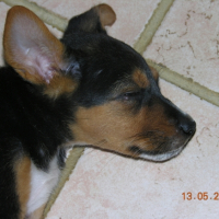 Photo #210837 de Dirty rock