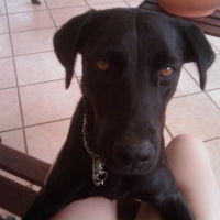 Photo #210838 de Djarry