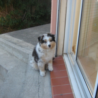 Photo #210920 de Roxy