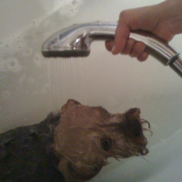 Photo #210969 de Joy